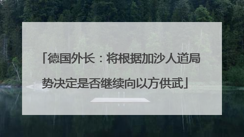 德国外长：将根据加沙人道局势决定是否继续向以方供武